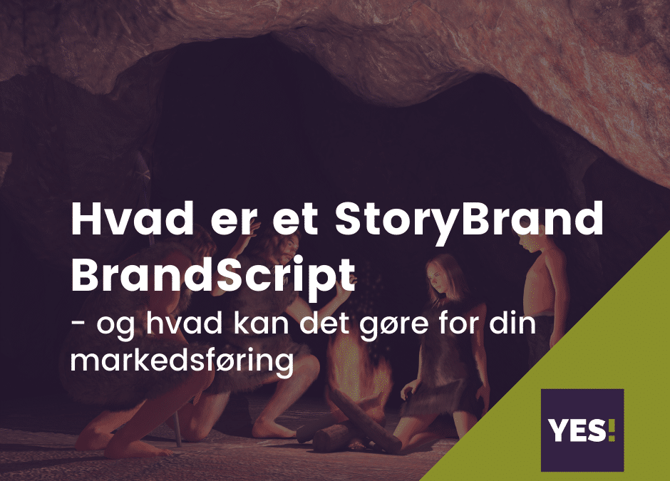 Hvad er et Story­Brand BrandScript?