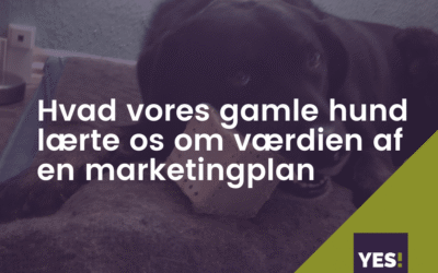 Hvad vores gam­le hund lær­te os om vig­tig­he­den af en god mar­ke­ting­plan!