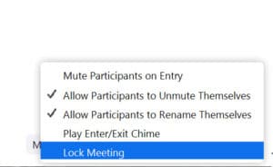 Andre sikkerhedsindstillinger i Zoom
